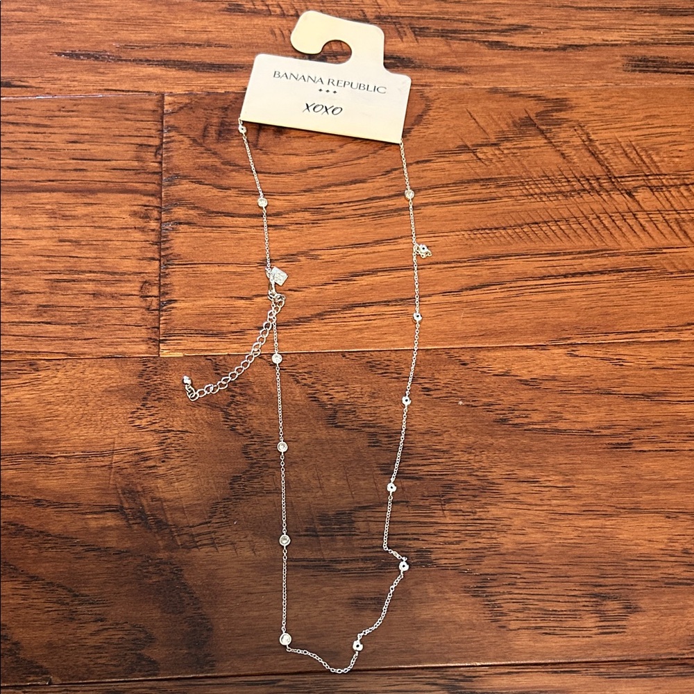 Banana Republic Silver Chain Necklace